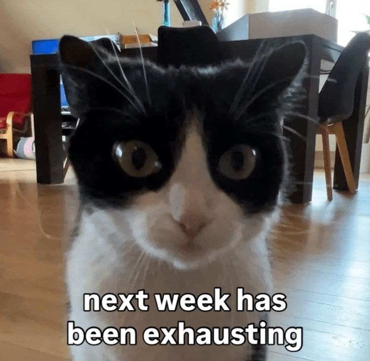 next week has been exhausting