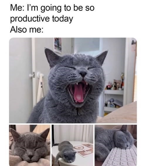 Me: I'm going to be so productive today Also me: