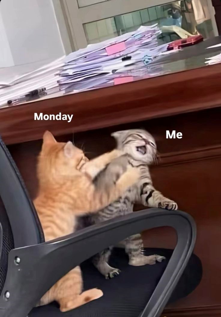 Monday Me