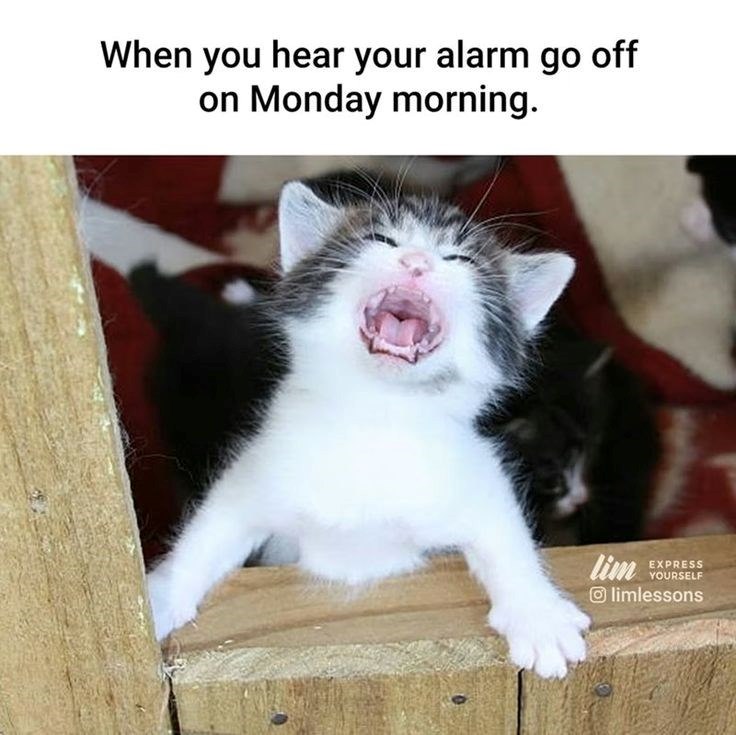 When you hear your alarm go off on Monday morning. lim EXPRESS YOURSELF limlessons