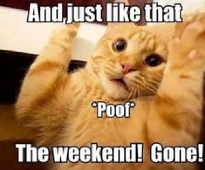 And just like that Poof The weekend! Gone!