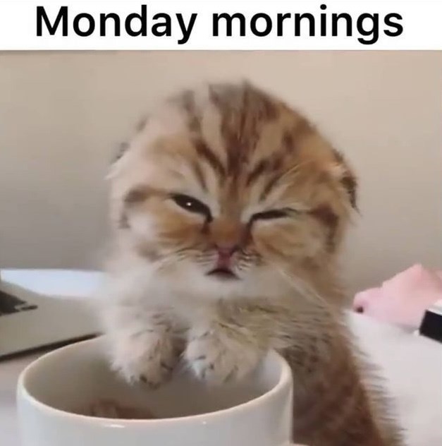 Monday mornings
