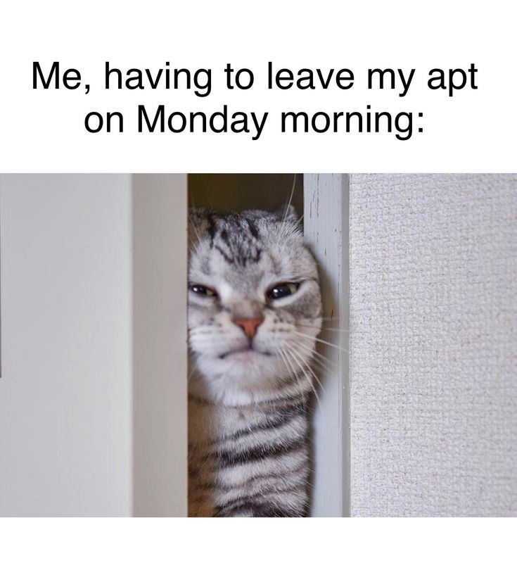 Me, having to leave my apt on Monday morning: