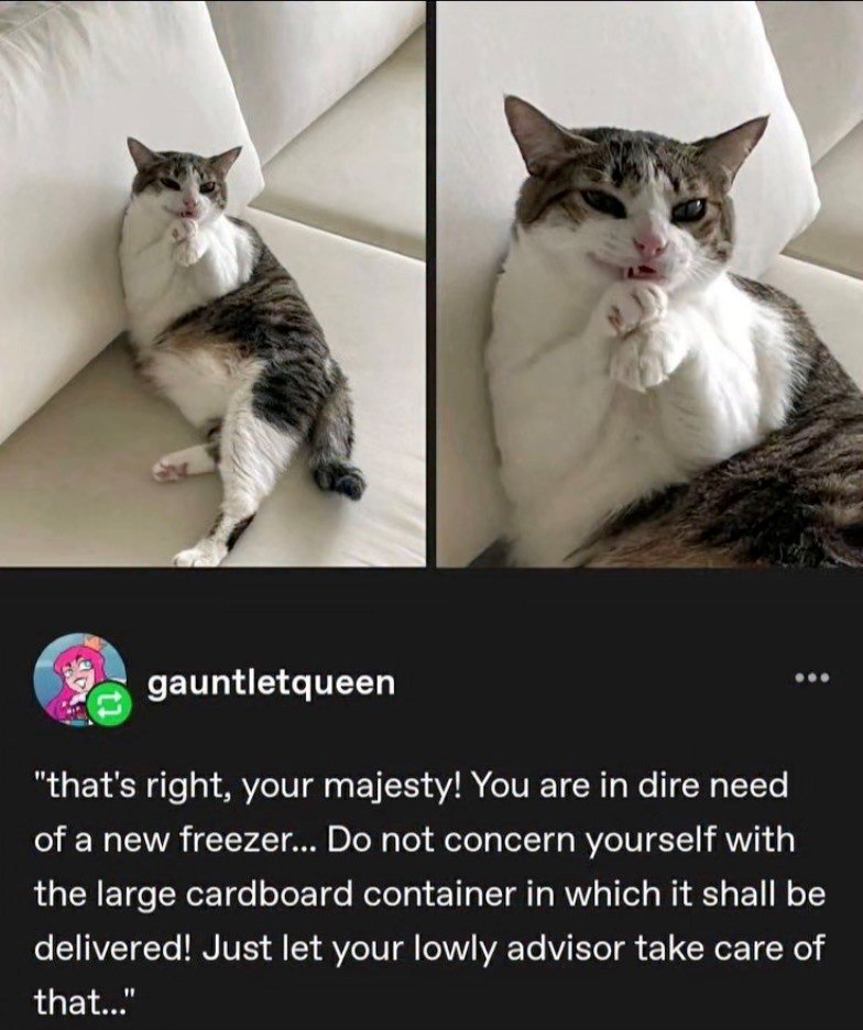 gauntletqueen "that's right, your majesty! You are in dire need of a new freezer... Do not concern yourself with the large cardboard container in which it shall be delivered! Just let your lowly advisor take care of that..."
