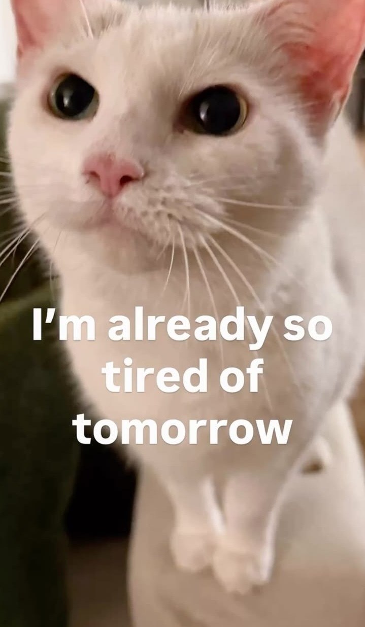 I'm already so tired of tomorrow