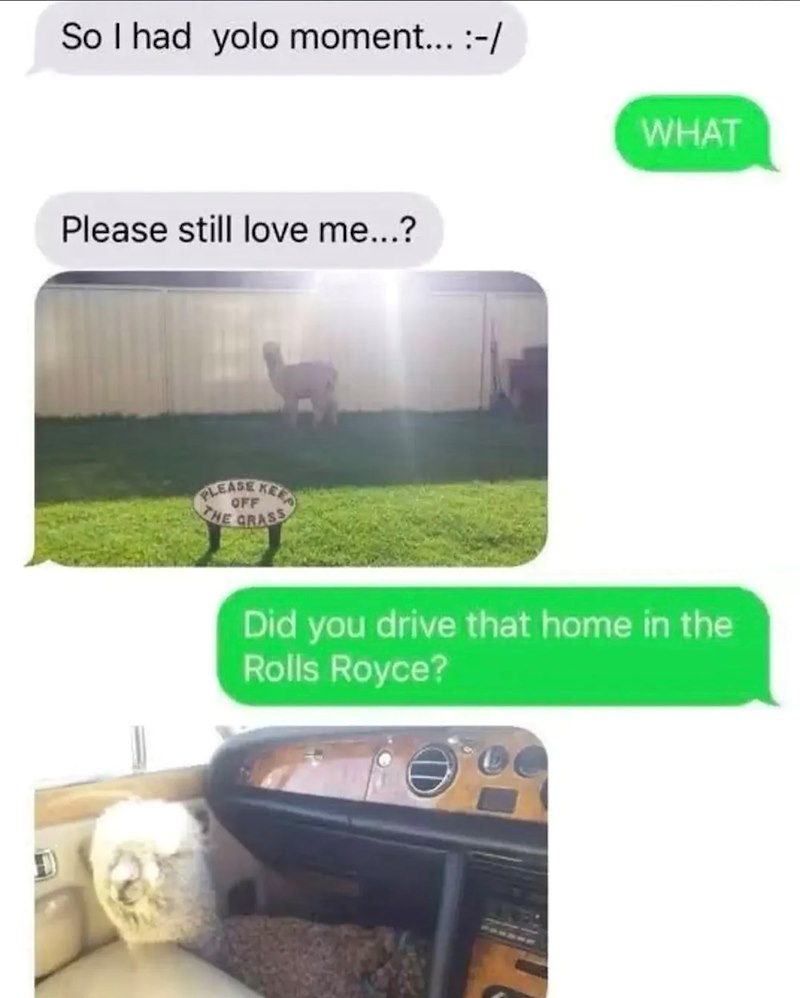 D So I had yolo moment... :-/ Please still love me...? OFF PLEASE KEEP THE GRASS WHAT Did you drive that home in the Rolls Royce?