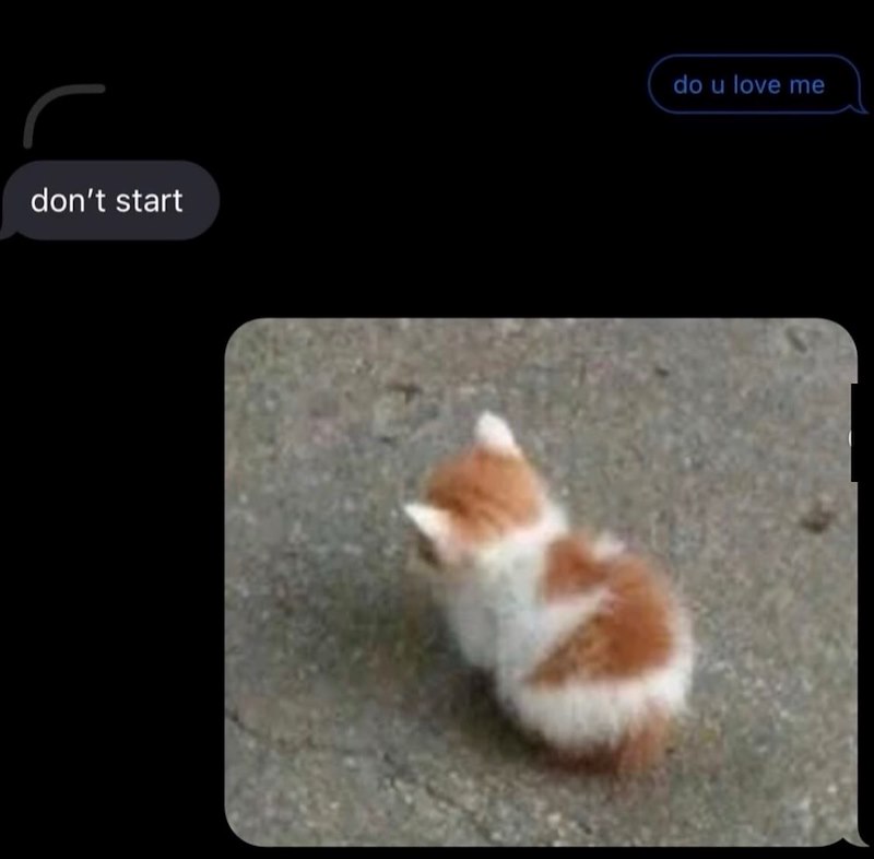 don't start do u love me
