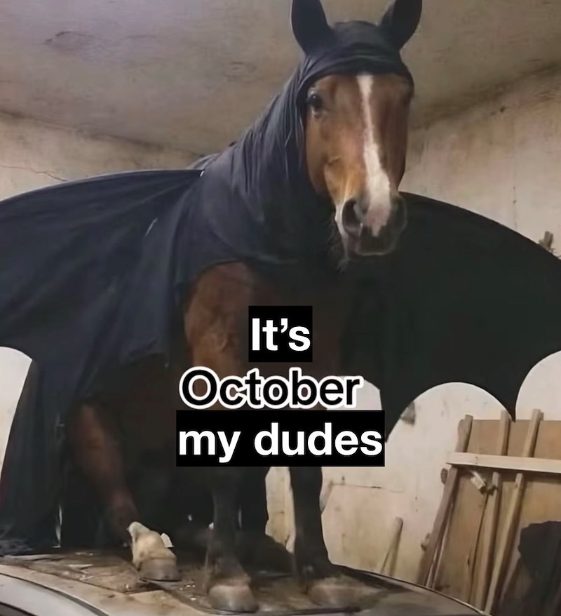It's October my dudes