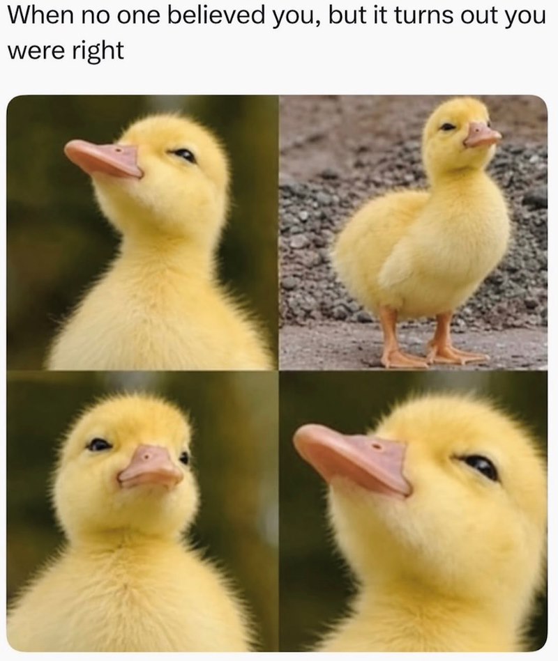 When no one believed you, but it turns out you were right