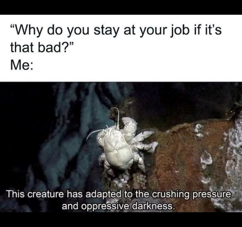 "Why do you stay at your job if it's that bad?" Me: This creature has adapted to the crushing pressure and oppressive darkness.