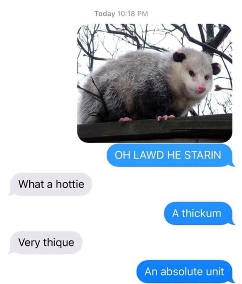 Today 10:18 PM What a hottie OH LAWD HE STARIN A thickum Very thique An absolute unit