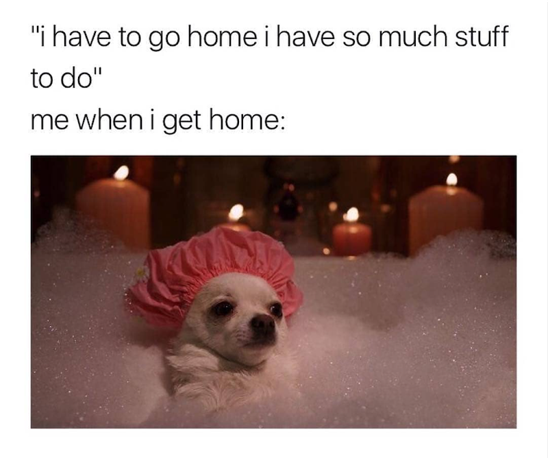 "i have to go home i have so much stuff to do" me when i get home:
