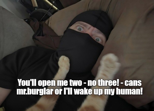 You'll open me two - no three! - cans mr.burglar or I'll wake up my human!