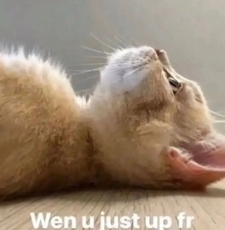 Wen u just up fr