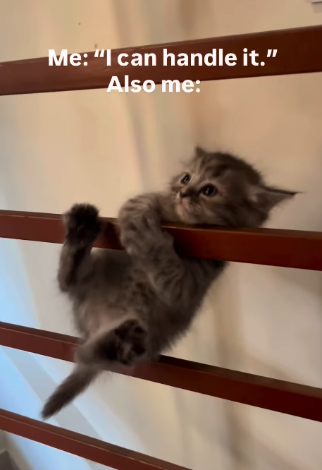 Me: "I can handle it." Also me: