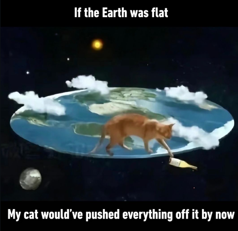 If the Earth was flat My cat would've pushed everything off it by now