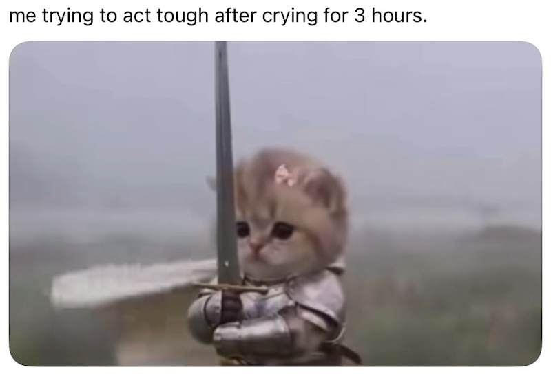 me trying to act tough after crying for 3 hours.
