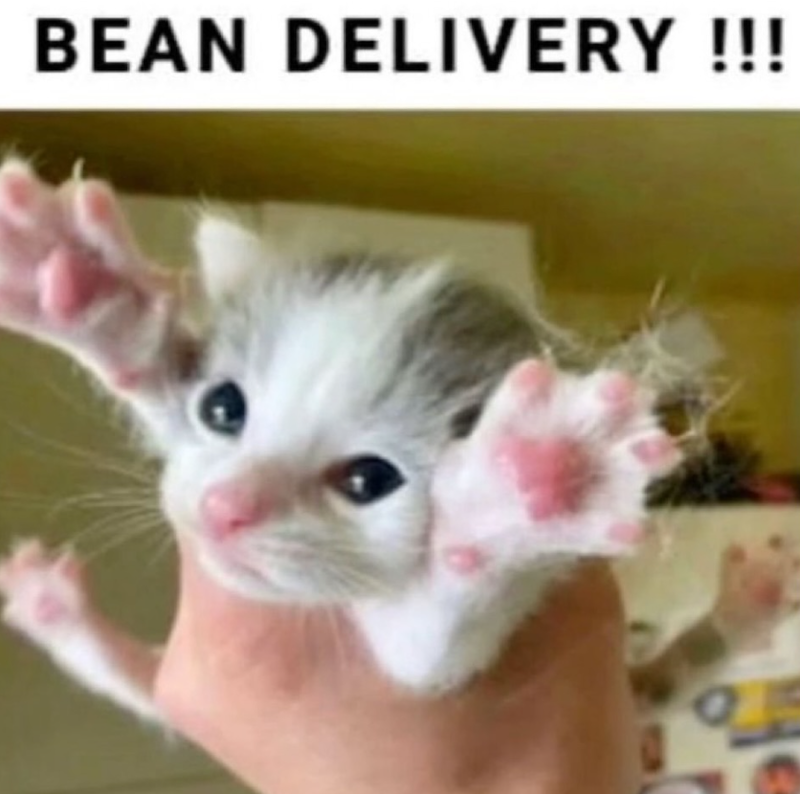 BEAN DELIVERY !!!