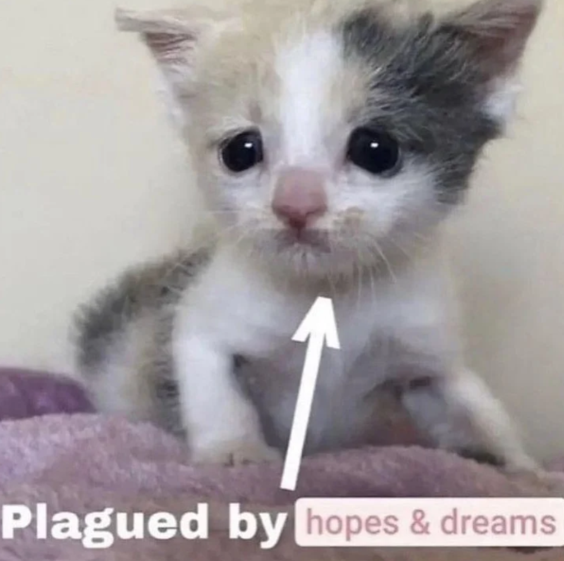 Plagued by hopes & dreams