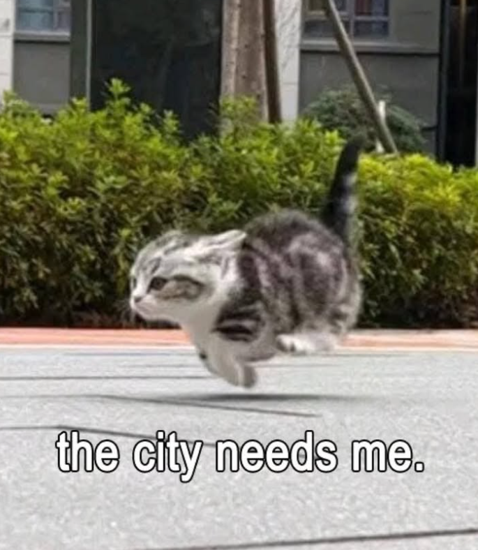 the city needs me.