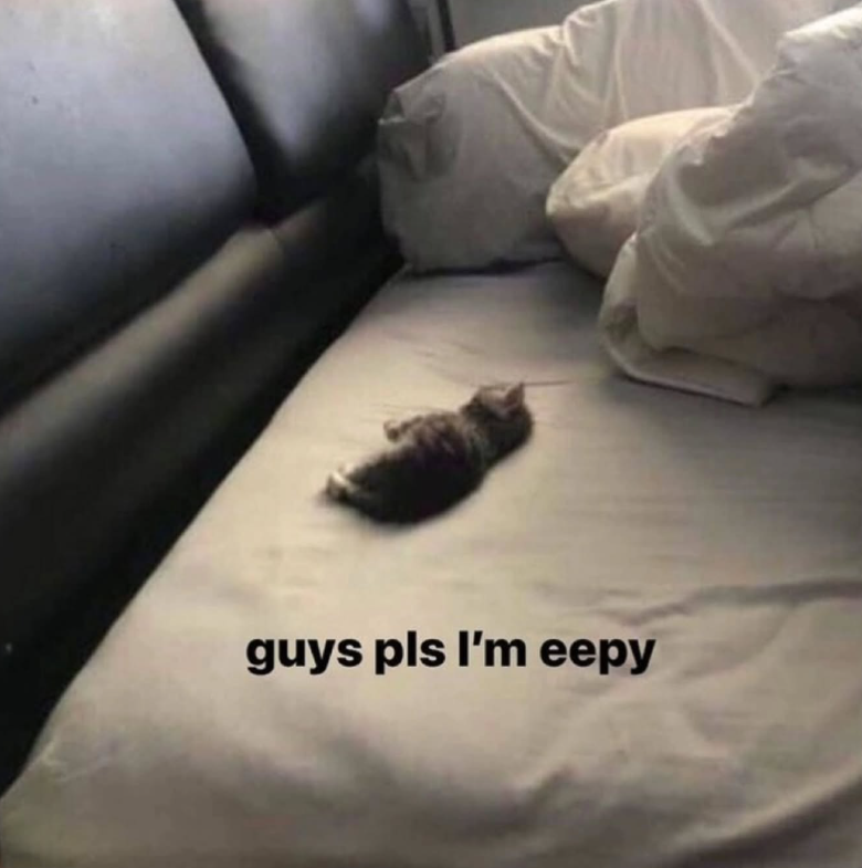guys pls I'm eepy