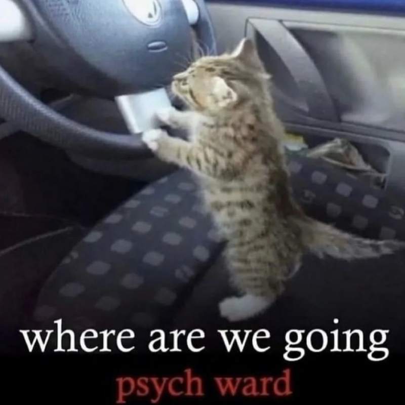 where are we going psych ward