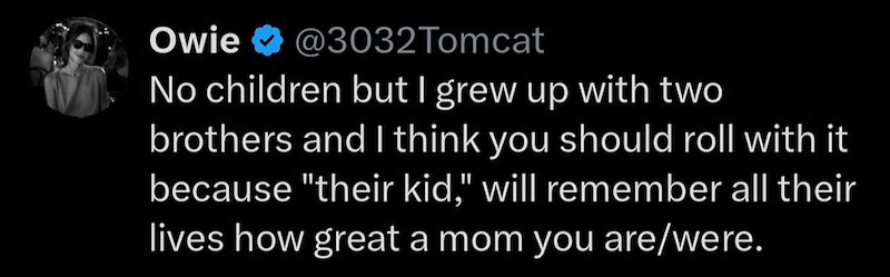 Owie @3032Tomcat No children but I grew up with two brothers and I think you should roll with it because "their kid," will remember all their lives how great a mom you are/were.