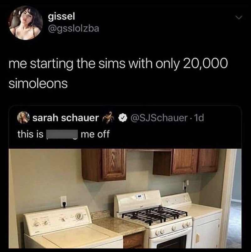 gissel @gsslolzba me starting the sims with only 20,000 simoleons sarah schauer @SJSchauer 1d this is me off