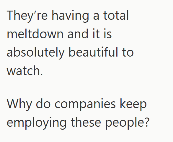 They're having a total meltdown and it is absolutely beautiful to watch. Why do companies keep employing these people?