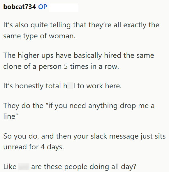 bobcat734 OP It's also quite telling that they're all exactly the same type of woman. The higher ups have basically hired the same clone of a person 5 times in a row. It's honestly total h I to work here. They do the "if you need anything drop me a line" So you do, and then your slack message just sits unread for 4 days. Like are these people doing all day?