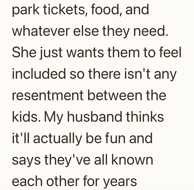 park tickets, food, and whatever else they need. She just wants them to feel included so there isn't any resentment between the kids. My husband thinks it'll actually be fun and says they've all known each other for years