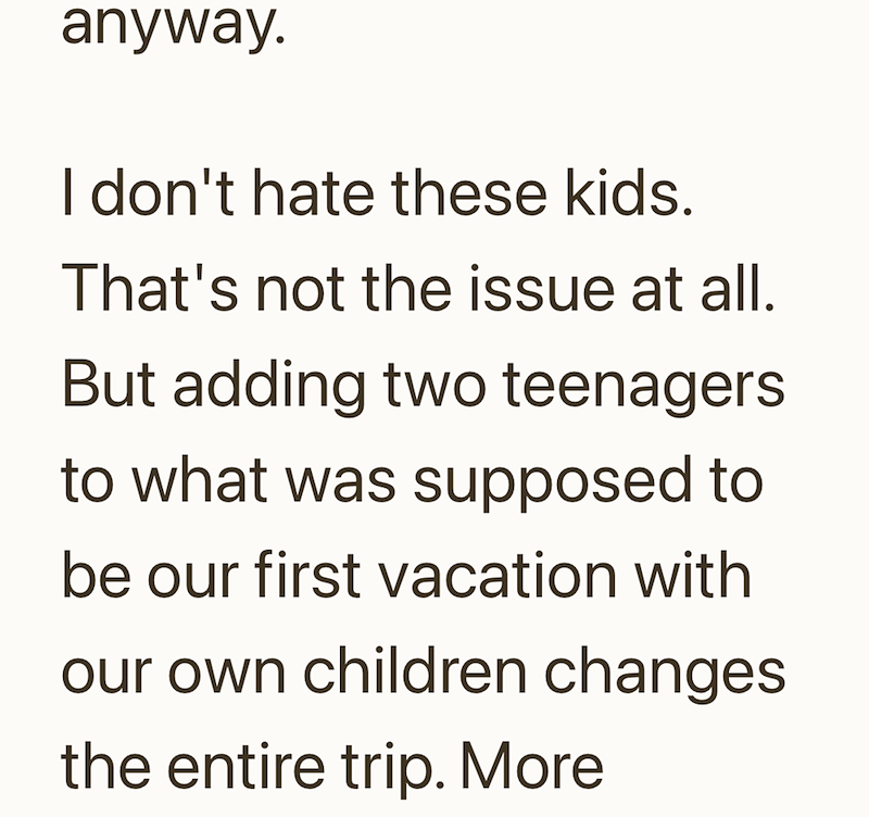 anyway. I don't hate these kids. That's not the issue at all. But adding two teenagers to what was supposed to be our first vacation with our own children changes the entire trip. More