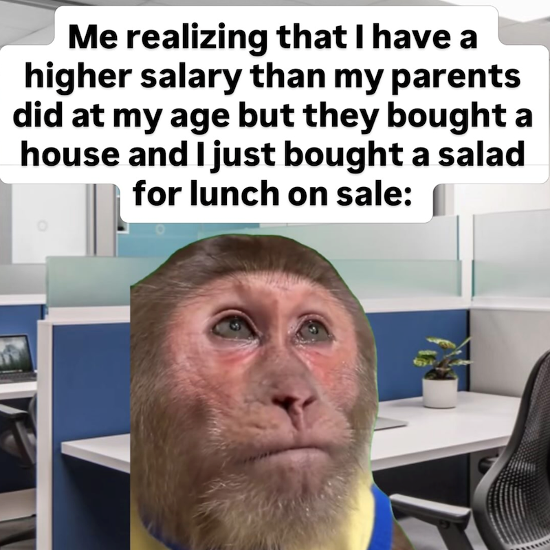 Me realizing that I have a higher salary than my parents did at my age but they bought a house and I just bought a salad for lunch on sale: