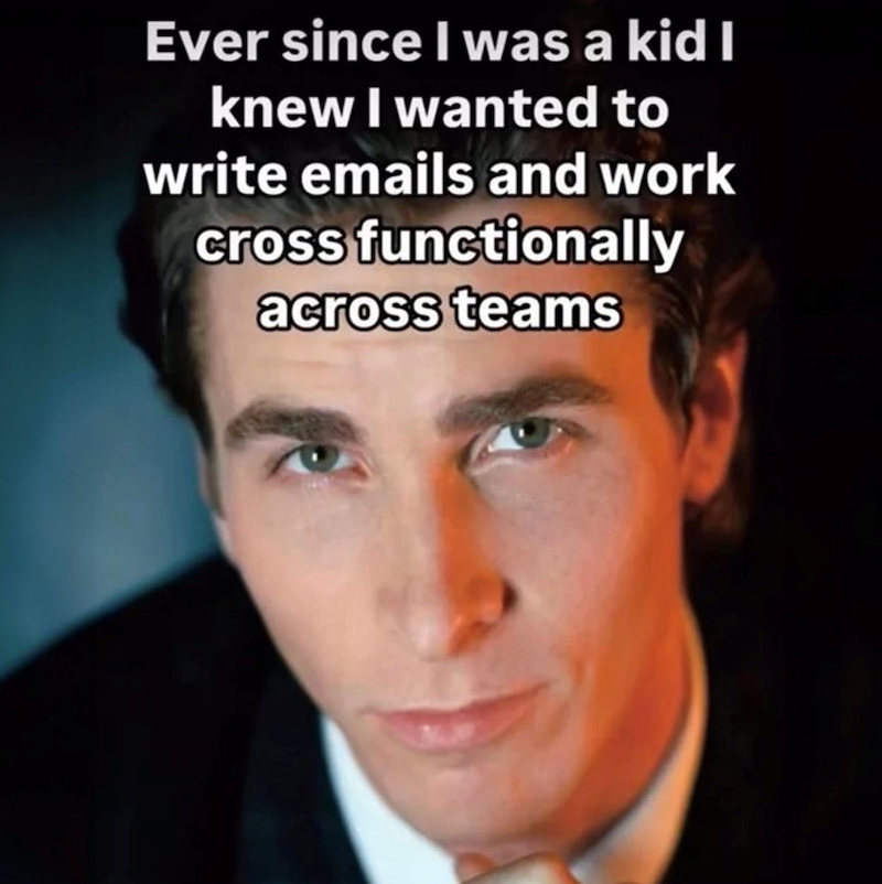 Ever since I was a kid I knew I wanted to write emails and work cross functionally across teams