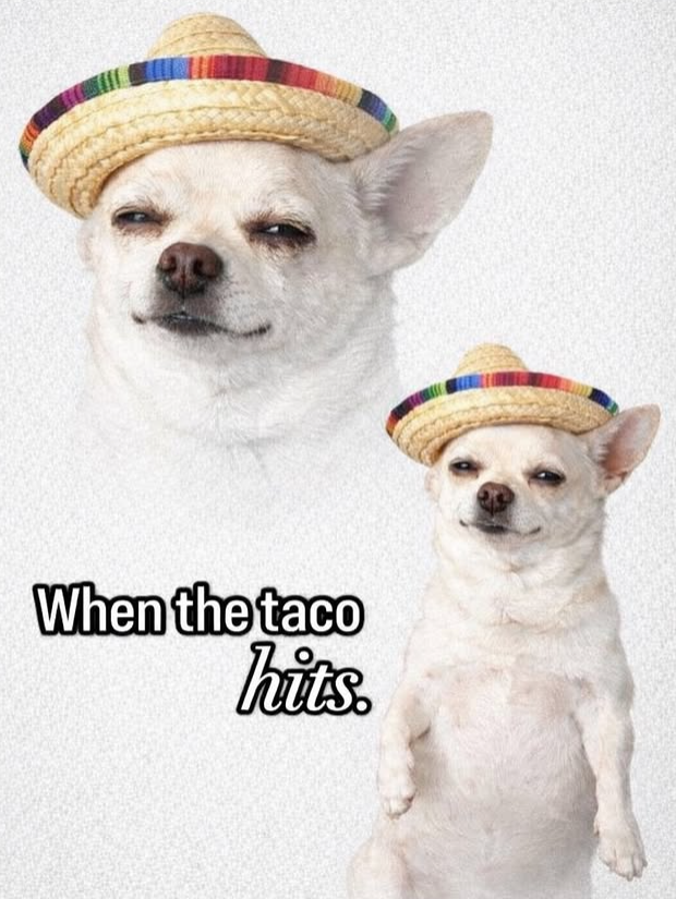 When the taco hits.