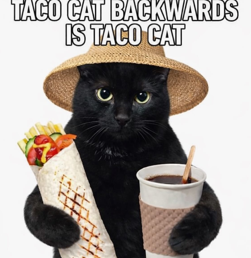 TACO CAT BACKWARDS IS TACO CAT
