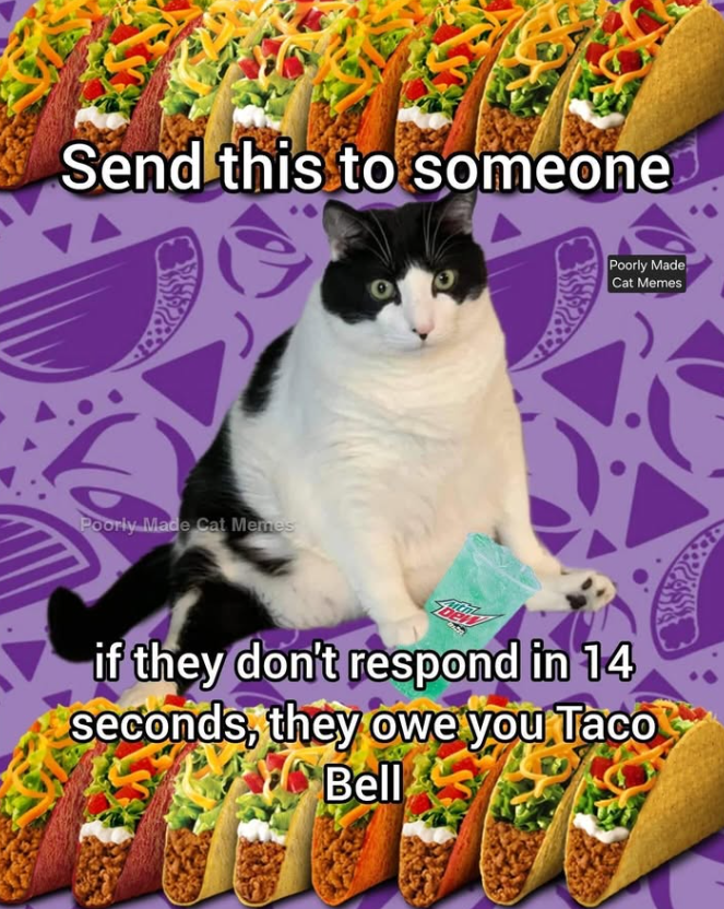 Send this to someone Poorly Made Cat Memes Poorly Made Cat Memes if they don't respond in 14 seconds, they owe you Taco Bell