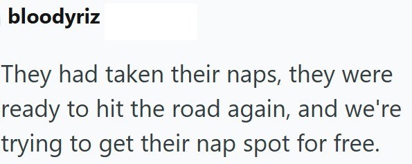 bloodyriz They had taken their naps, they were ready to hit the road again, and we're trying to get their nap spot for free.