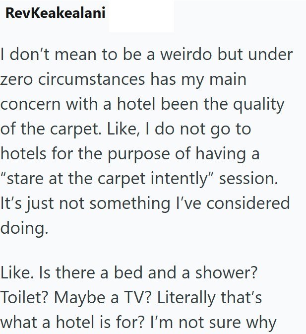 RevKeakealani I don't mean to be a weirdo but under zero circumstances has my main concern with a hotel been the quality of the carpet. Like, I do not go to hotels for the purpose of having a "stare at the carpet intently" session. It's just not something I've considered doing. Like. Is there a bed and a shower? Toilet? Maybe a TV? Literally that's what a hotel is for? I'm not sure why