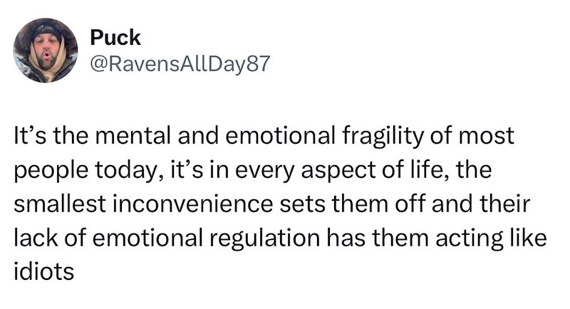 Puck @RavensAllDay87 It's the mental and emotional fragility of most people today, it's in every aspect of life, the smallest inconvenience sets them off and their lack of emotional regulation has them acting like idiots