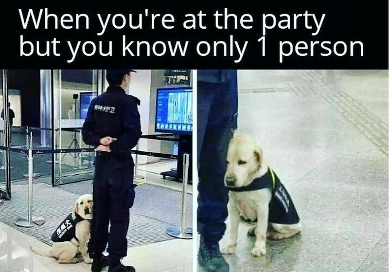 When you're at the party but you know only 1 person 特种大护卫