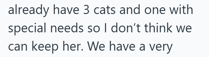 already have 3 cats and one with special needs so I don't think we can keep her. We have a very
