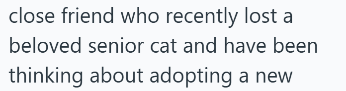 close friend who recently lost a beloved senior cat and have been thinking about adopting a new