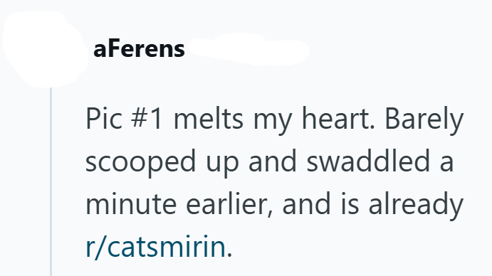 aFerens Pic #1 melts my heart. Barely. scooped up and swaddled a minute earlier, and is already r/catsmirin.