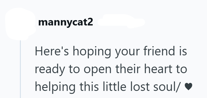 mannycat2 Here's hoping your friend is ready to open their heart to helping this little lost soul/ ♥