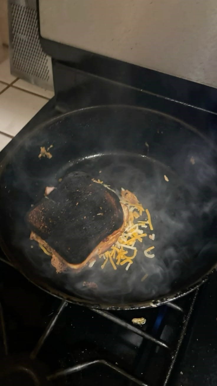 Cheezburger Image 10669604608