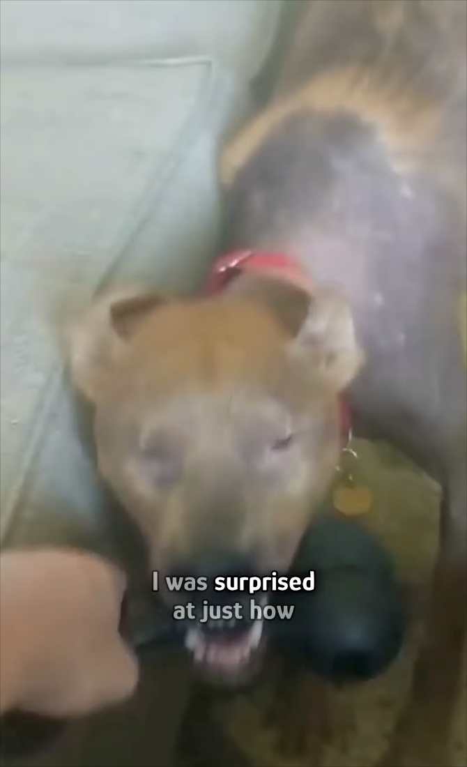 I was surprised at just how