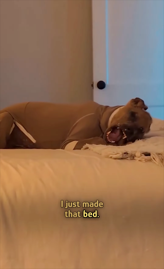 I just made that bed.