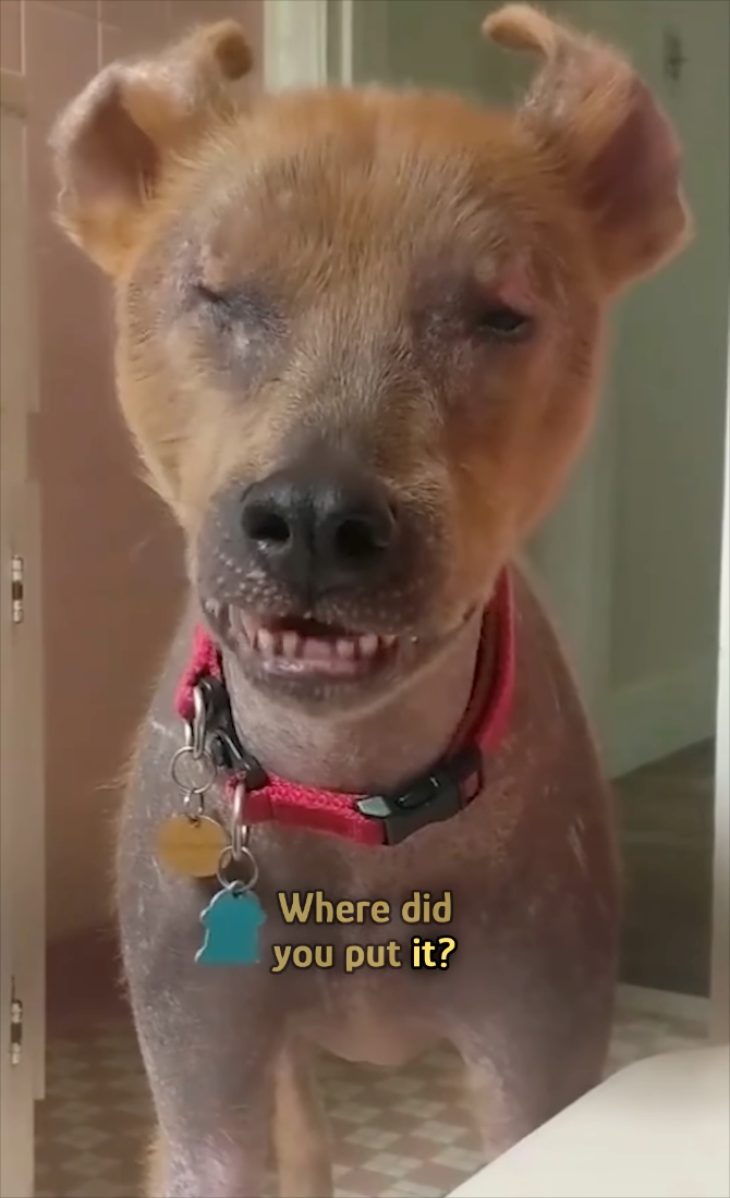 Where did you put it?