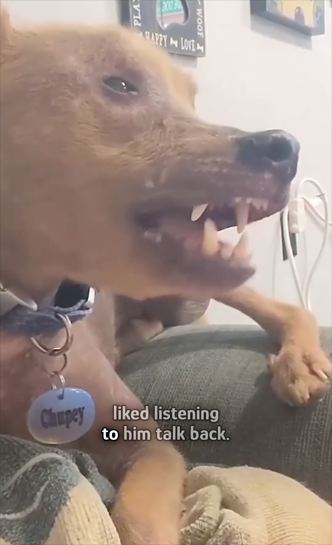Chupey liked listening to him talk back. PLA 00030 HAPPYLOVE WOOF